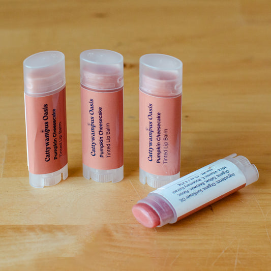 Pumpkin Cheesecake Tinted Lip Balm